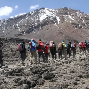 Explore Kilimanjaro climbing marangu route 5 days for 5 days with Almighty Kilimanjaro and discover unforgettable experiences - Photo 2