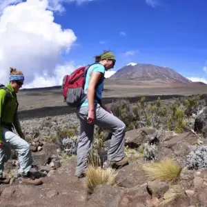 Explore Kilimanjaro climbing marangu route 5 days for 5 days with Almighty Kilimanjaro and discover unforgettable experiences - Photo 3