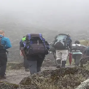 Explore 7 DAYS LEMOSHO ROUTE for 7 days with Almighty Kilimanjaro and discover unforgettable experiences - Photo 6