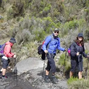Explore Kilimanjaro climb marangu route 6 days for 6 days with Almighty Kilimanjaro and discover unforgettable experiences - Photo 2