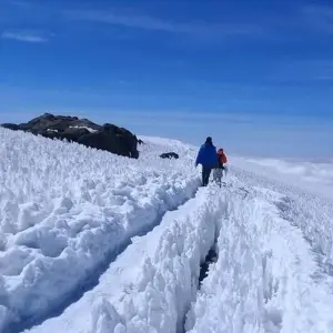 Explore Kilimanjaro climbing machame route 7 days for 7 days with Almighty Kilimanjaro and discover unforgettable experiences - Photo 4