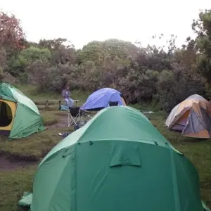 Explore Kilimanjaro trekking northern circuit 9 days for 9 days with Almighty Kilimanjaro and discover unforgettable experiences - Photo 3