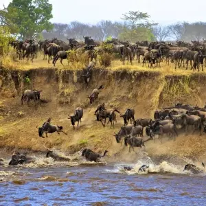 Explore Shining safari - 3 days for 3 days with Almighty Kilimanjaro and discover unforgettable experiences - Photo 3