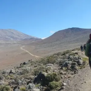 Explore Kilimanjaro Climb Lemosho Route 8 days for 8 days with Almighty Kilimanjaro and discover unforgettable experiences - Photo 4