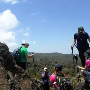 Explore Kilimanjaro trekking northern circuit 9 days for 9 days with Almighty Kilimanjaro and discover unforgettable experiences - Photo 4