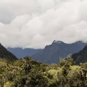 Explore Kilimanjaro climb umbwe route 6 days for 6 days with Almighty Kilimanjaro and discover unforgettable experiences - Photo 8