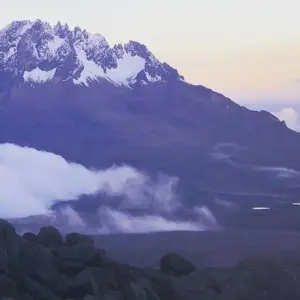 Explore Kilimanjaro climbing marangu route 5 days for 5 days with Almighty Kilimanjaro and discover unforgettable experiences - Photo 9