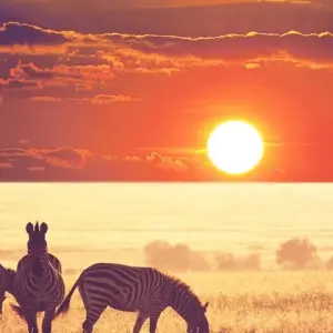 Explore Shining safari - 3 days for 3 days with Almighty Kilimanjaro and discover unforgettable experiences - Photo 6