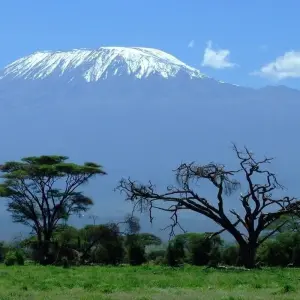 Explore Kilimanjaro Climb Lemosho Route 8 days for 8 days with Almighty Kilimanjaro and discover unforgettable experiences - Photo 7