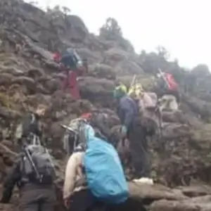 Explore Kilimanjaro climbing rongai route 7 days for 7 days with Almighty Kilimanjaro and discover unforgettable experiences - Photo 7