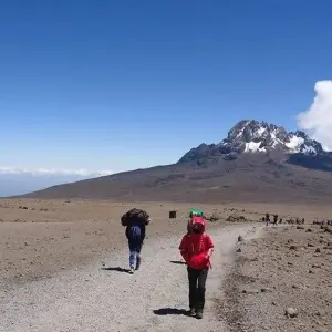 Explore Kilimanjaro climb shira route 6 days for 6 days with Almighty Kilimanjaro and discover unforgettable experiences - Photo 9