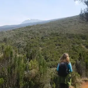 Explore Kilimanjaro trekking londorossi route 9 days for 9 days with Almighty Kilimanjaro and discover unforgettable experiences - Photo 9