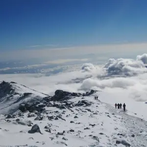Explore Kilimanjaro trekking northern circuit 9 days for 9 days with Almighty Kilimanjaro and discover unforgettable experiences - Photo 9