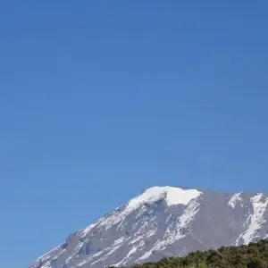 Explore Kilimanjaro trekking londorossi route 9 days for 9 days with Almighty Kilimanjaro and discover unforgettable experiences - Photo 10