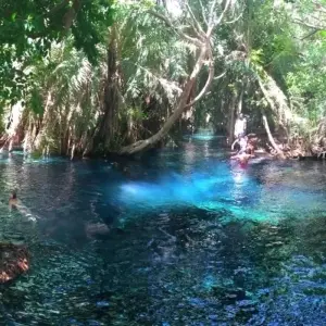 Explore Kikuletwa hot springs day tour for 1 days with Almighty Kilimanjaro and discover unforgettable experiences - Photo 2