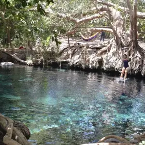 Explore Kikuletwa hot springs day tour for 1 days with Almighty Kilimanjaro and discover unforgettable experiences - Photo 4