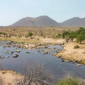Explore Ruaha national park - 3 days for 3 days with Almighty Kilimanjaro and discover unforgettable experiences - Photo 3