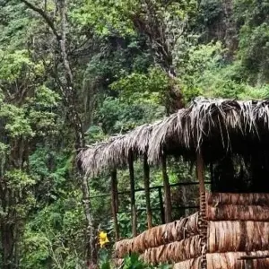 Explore Marangu cultural tour for 1 days with Almighty Kilimanjaro and discover unforgettable experiences - Photo 4