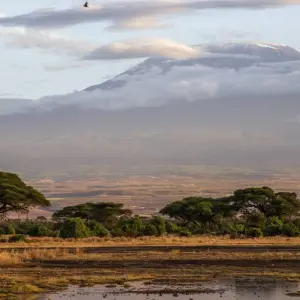 Explore Kenya-7 days featuring classic safari for 7 days with Almighty Kilimanjaro and discover unforgettable experiences - Photo 4