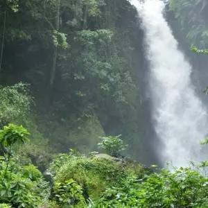 Explore Marangu cultural tour for 1 days with Almighty Kilimanjaro and discover unforgettable experiences - Photo 5