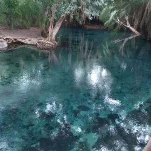 Explore Kikuletwa hot springs day tour for 1 days with Almighty Kilimanjaro and discover unforgettable experiences - Photo 6