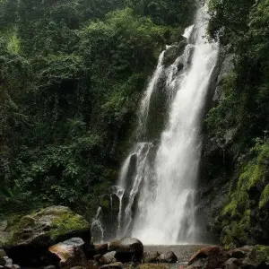 Explore Marangu cultural tour for 1 days with Almighty Kilimanjaro and discover unforgettable experiences - Photo 6