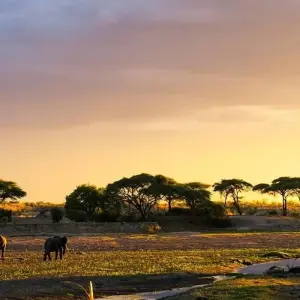Explore Ruaha national park - 3 days for 3 days with Almighty Kilimanjaro and discover unforgettable experiences - Photo 6