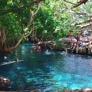 Explore Kikuletwa hot springs day tour for 1 days with Almighty Kilimanjaro and discover unforgettable experiences - Photo 7