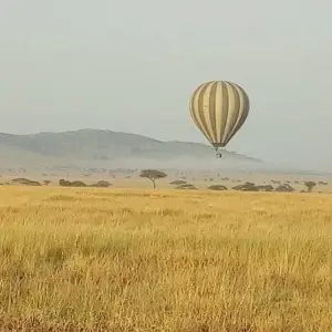Explore 1 DAY TSAVO EAST NATIONAL PARK -KENYA SAFARI for 1 days with Almighty Kilimanjaro and discover unforgettable experiences - Photo 6