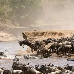 Explore 5 days walking Safari for 5 days with Almighty Kilimanjaro and discover unforgettable experiences - Photo 8