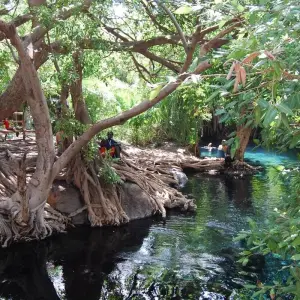 Explore Kikuletwa hot springs day tour for 1 days with Almighty Kilimanjaro and discover unforgettable experiences - Photo 9