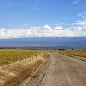 Explore Kenya-7 days featuring classic safari for 7 days with Almighty Kilimanjaro and discover unforgettable experiences - Photo 10