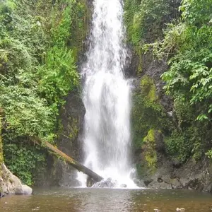 Explore Marangu cultural tour for 1 days with Almighty Kilimanjaro and discover unforgettable experiences - Photo 10