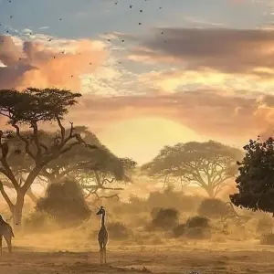 Explore 5 DAYS SOUTHERN TANZANIA CLASSIC SAFARI for 5 days with Almighty Kilimanjaro and discover unforgettable experiences - Photo 4