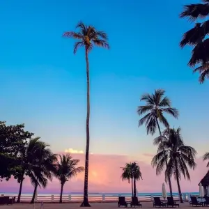 Explore 8 DAYS ZANZIBAR BEACH HOLIDAY for 8 days with Almighty Kilimanjaro and discover unforgettable experiences - Photo 5