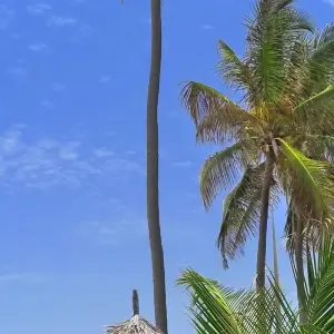 Explore 4 DAYS ZANZIBAR BEACH HOLIDAYS for 4 days with Almighty Kilimanjaro and discover unforgettable experiences - Photo 9