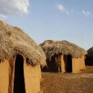 Explore A DAY TRIP TO MAASAI VILLAGE for 1 days with Almighty Kilimanjaro and discover unforgettable experiences - Photo 9