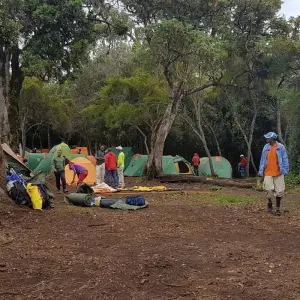 Explore CHRISTMAS EVE ON TOP OF MOUNT KILIMANJARO for 7 days with Almighty Kilimanjaro and discover unforgettable experiences - Photo 4