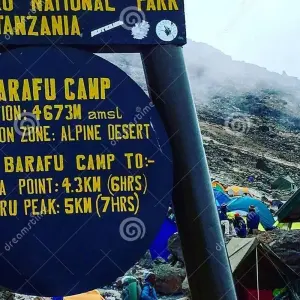 Explore CHRISTMAS EVE ON TOP OF MOUNT KILIMANJARO for 7 days with Almighty Kilimanjaro and discover unforgettable experiences - Photo 6
