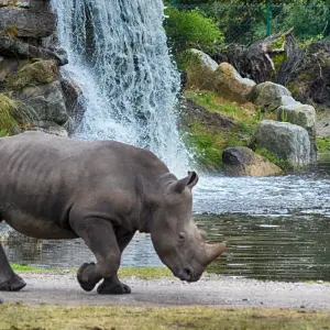 Explore 2 DAY NORTHERN TANZANIA SAFARI EXTENSION for 2 days with Almighty Kilimanjaro and discover unforgettable experiences - Photo 7
