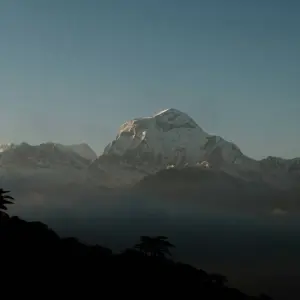 Explore Short Annapurna (Poon Hill) Trek for 3 days with Alpine Club of Himalaya and discover unforgettable experiences - Photo 4