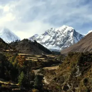Explore Ama Yangri Trek for 8 days with Alpine Club of Himalaya and discover unforgettable experiences - Photo 5