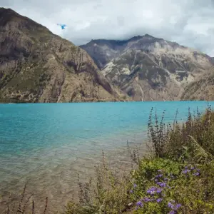 Explore Shey Phoksundo Lake Trek for 11 days with Alpine Club of Himalaya and discover unforgettable experiences - Photo 3