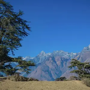 Explore Lower Dolpo Trek for 15 days with Alpine Club of Himalaya and discover unforgettable experiences - Photo 6