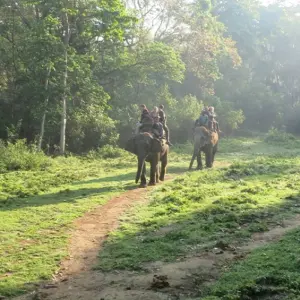 Explore Chitwan National Park Tour for 4 days with Alpine Club of Himalaya and discover unforgettable experiences - Photo 3