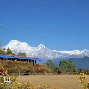 Explore Australian Camp and Sarangkot Trek for 3 days with Alpine Club of Himalaya and discover unforgettable experiences - Photo 6