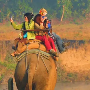 Explore Chitwan National Park Tour for 4 days with Alpine Club of Himalaya and discover unforgettable experiences - Photo 4