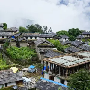 Explore Poonhill Ghorepani Trek & Kathmandu City Tour-8 Days for 8 days with Alpine Club of Himalaya and discover unforgettable experiences - Photo 7