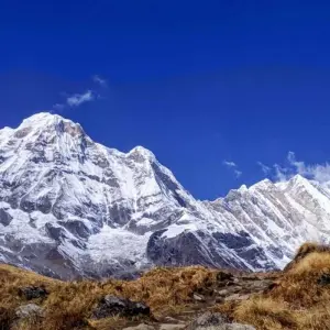 Explore Mardi Himal Trek - 9 Days for 9 days with Alpine Club of Himalaya and discover unforgettable experiences - Photo 5