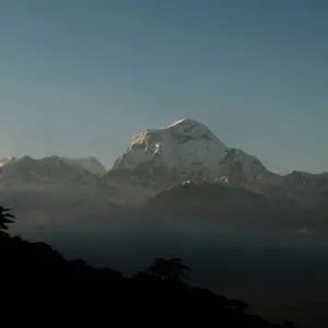 Explore Ghorepani Poon Hill Trek- 9 Days for 9 days with Alpine Club of Himalaya and discover unforgettable experiences - Photo 2